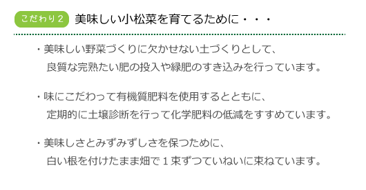 美しい小松菜を育てるために