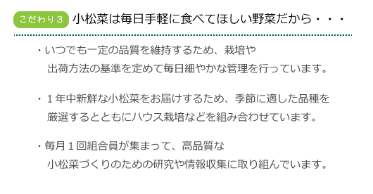 小松菜は毎日手軽に食べてほしい野菜だから