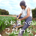 小松菜へのこだわり