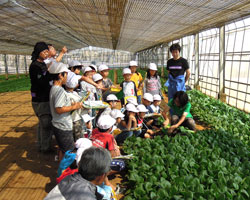 食育 小学校・社会科見学
